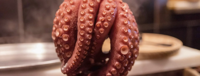 El mejor Restaurante Gallego de Madrid